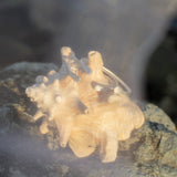 Meridian Set - Bangle & Crown Ring