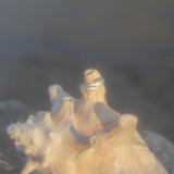 Meridian Set - Studs & Signet Ring