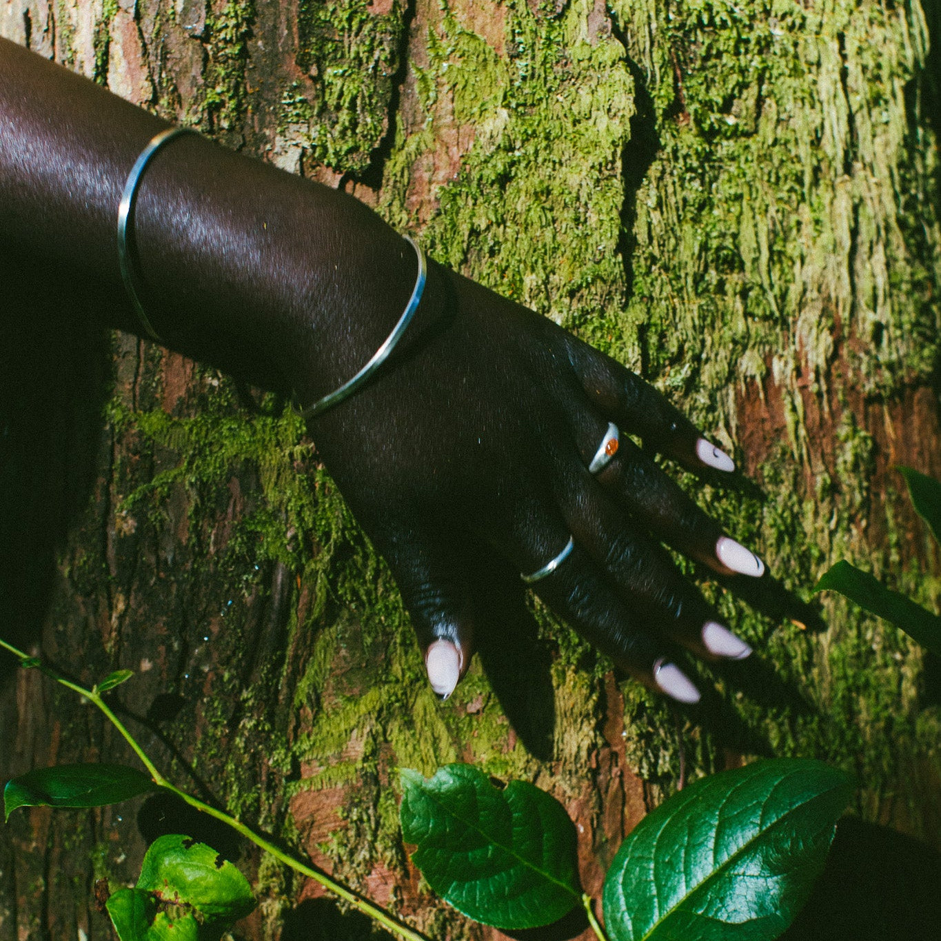 A close-up of a person's hand wearing silver rings resting on a mossy tree trunk, with green leaves in the foreground.