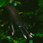 A close-up of a hand with long pale pink manicured nails and a silver ring, reaching through dark green leaves.
