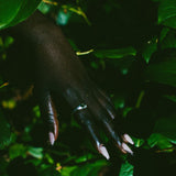 A close-up of a hand with long pale pink manicured nails and a silver ring, reaching through dark green leaves.