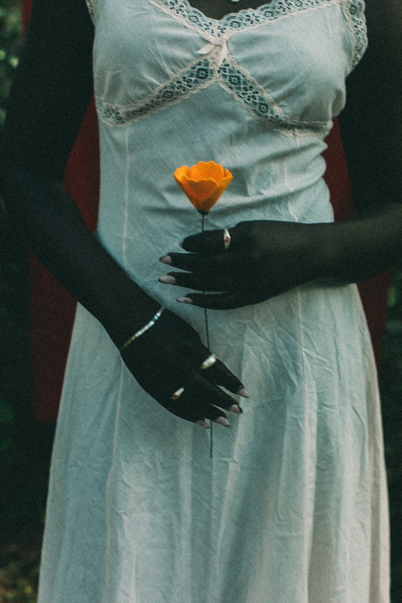 A person wearing a light blue lace-trimmed dress holds a single orange flower. The photo is cropped from the shoulders down, with dark background elements visible behind the subject.