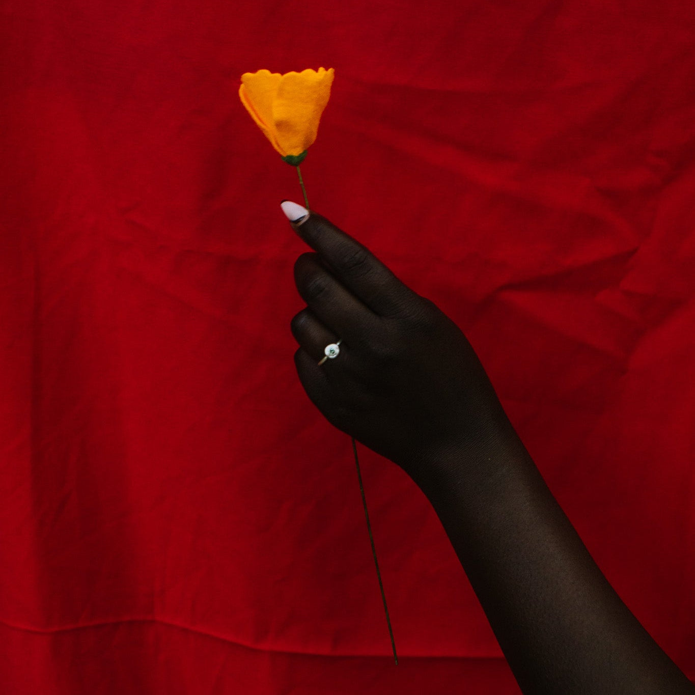 A hand holds a small yellow flower against a textured red fabric background. The hand also wears a silver ring.