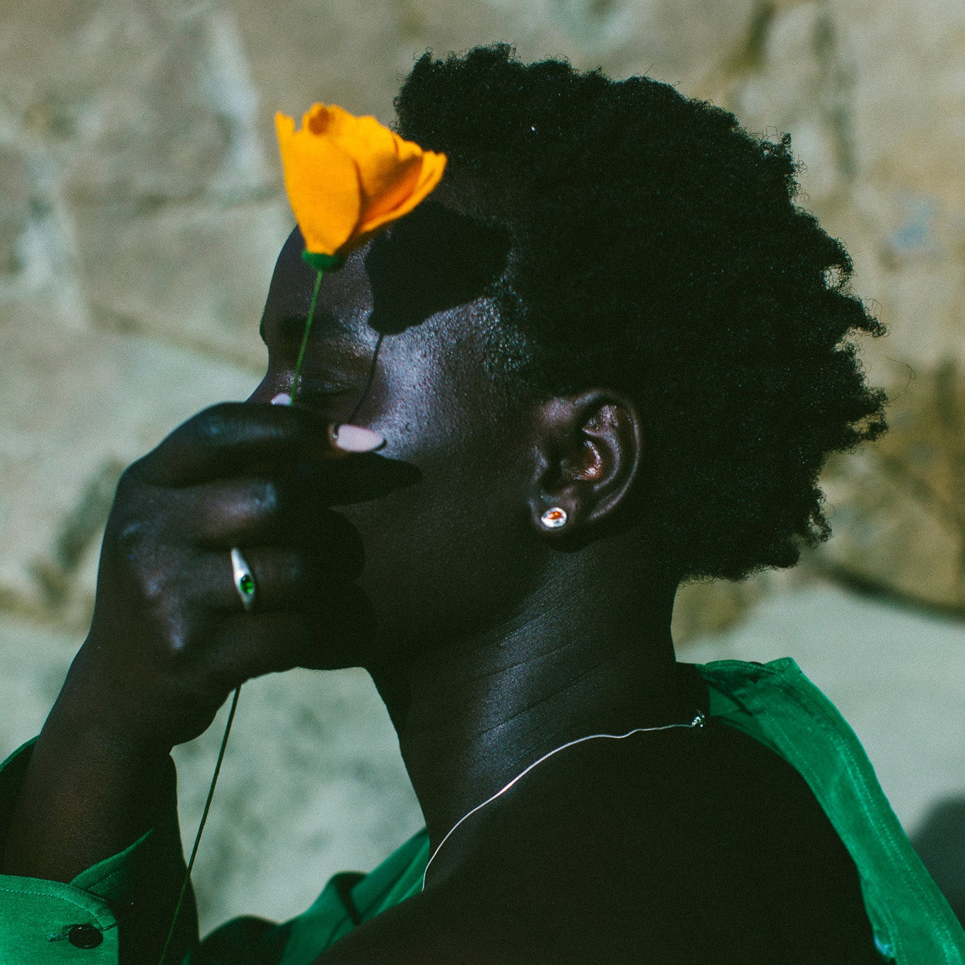 A person in profile wearing a bright green shirt, holding a single orange flower near their face against a textured stone wall background. wearing the siren stud earrings featuring an oval sunstone. 