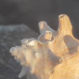 Meridian Set - Necklace & Crown Ring