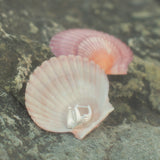 Meridian Earrings Combo